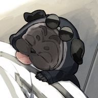 パグさんのアイコン画像