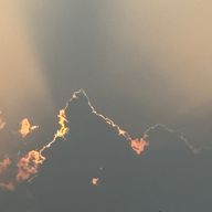 玲音さんのアイコン画像