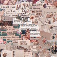 ❤️🍣Shuna 🌸🫧さんのアイコン画像