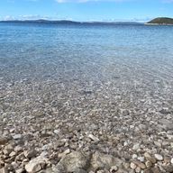 猫史実さんのアイコン画像