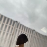 ♡さんのアイコン画像