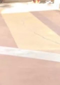 バカすぎるバカ