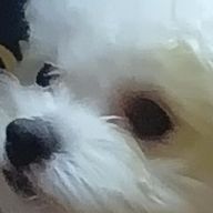 ゆうさんのアイコン画像