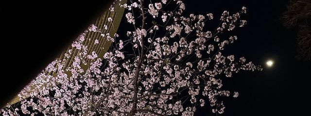 ♩さんの壁紙画像