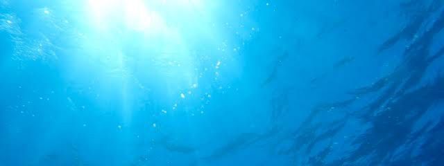 夜月鈴@低浮上&無差別フォロー中☆さんの壁紙画像