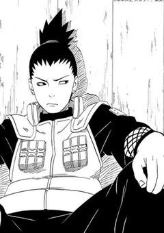 影は光のために