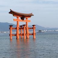 センリさんのアイコン画像