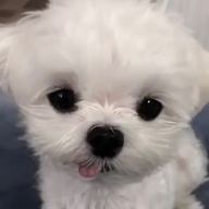 　오ㄴ♥さんのアイコン画像