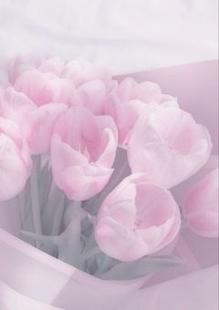 とーくるーむ　♡雑談編♡