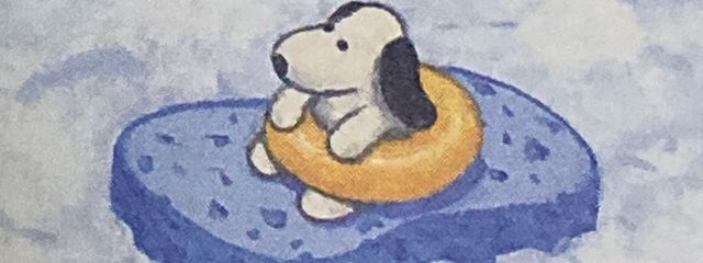 マルチーズ🧀🐩さんの壁紙画像