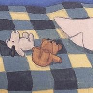 マルチーズ🧀🐩さんのアイコン画像