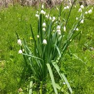 モブ子さんのアイコン画像