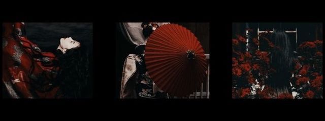 くるちゃまさんの壁紙画像