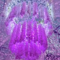 きな粉さんのアイコン画像