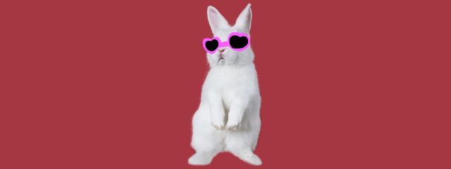 あまねっさんの壁紙画像