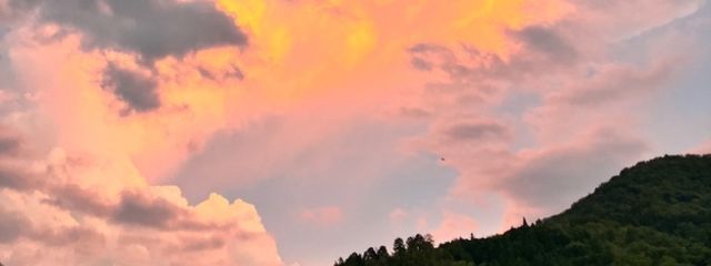 塩キャラメルさんの壁紙画像