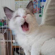 なっつんさんのアイコン画像