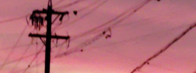 👘 祭きなこ🎀さんの壁紙画像