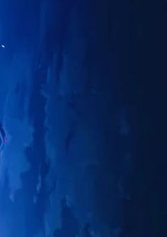 さよーなら、また会えたら。