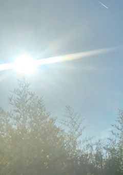 　記憶にいるお友達