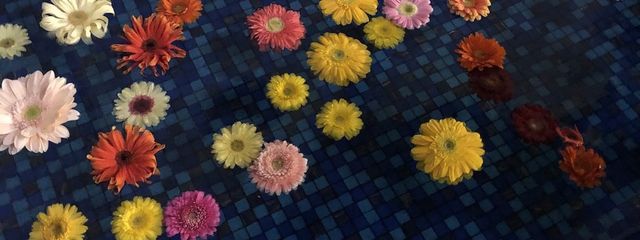 黎さんの壁紙画像