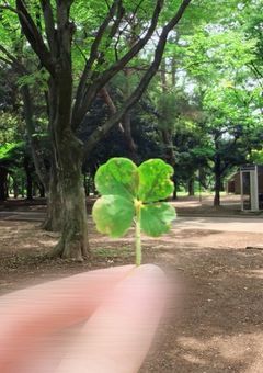 恋バナしよ