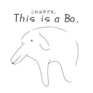 ぱちさんのアイコン画像