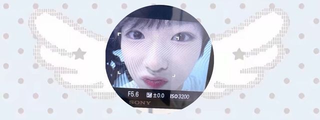 🍀︎さんの壁紙画像