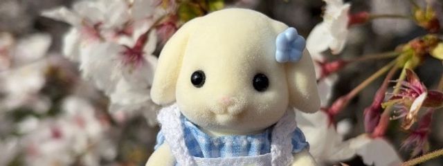 ろっぷさんの壁紙画像