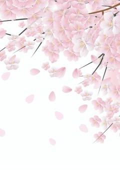 桜舞う小説コンテスト