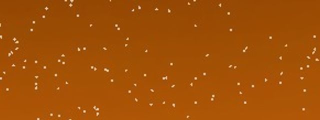 🍁 しの 🍁さんの壁紙画像