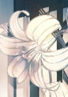 🌻あなただけをずっと見てるョ