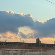 🍏みさりんご🍏さんのアイコン画像