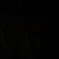 DFさんのアイコン画像