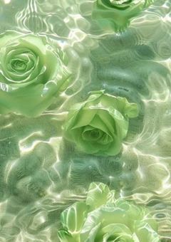 そうだ転生しよう.⋆𝜗𝜚