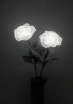 kymhk hkkym 短編集 。