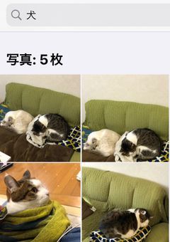 リクエストを教えて下さいッッ!