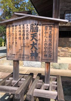 桜花ちゃん専用部屋
