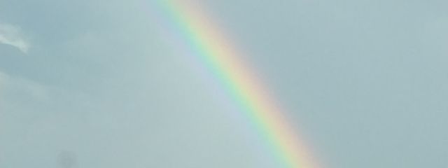 Minamiさんの壁紙画像