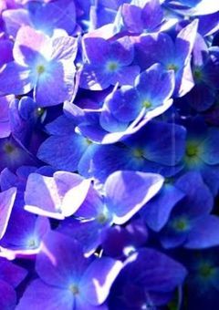 どうも 初めまして  .’ .’