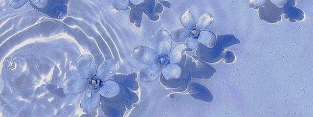 弧雪さんの壁紙画像