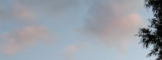 菖蒲さんの壁紙画像