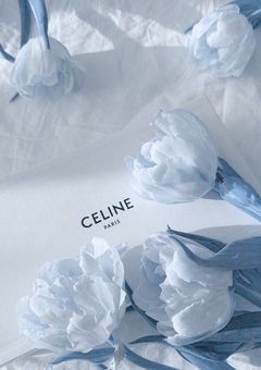 　幻の6人目 ／ njsj〈 完結 〉