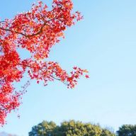 愛歌さんのアイコン画像