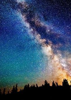 ☆初見様必読☆篠宮瑠愛の取り扱い説明書