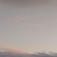 つばきさんのアイコン画像