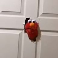 パナカ🔮さんのアイコン画像