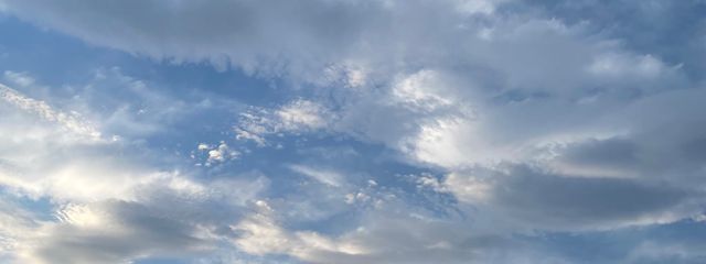 熱帯雨林さんの壁紙画像