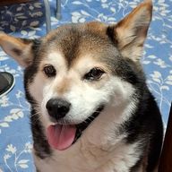 夜に覚醒さんのアイコン画像