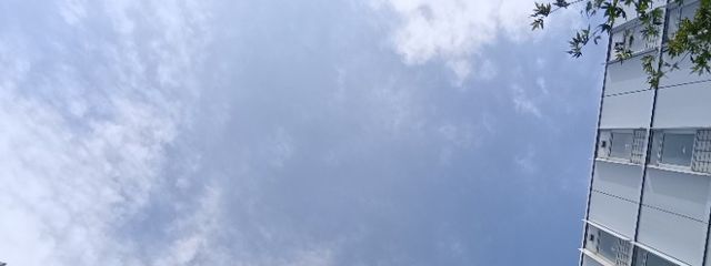 梨さんの壁紙画像